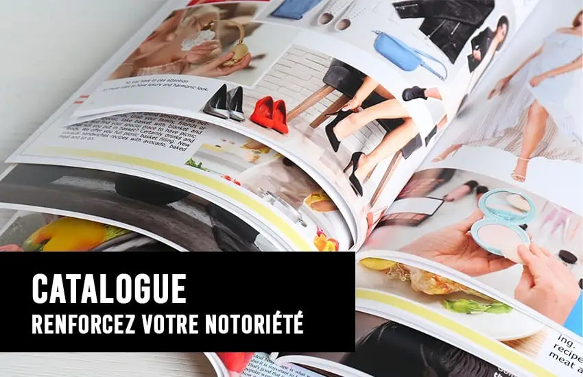 Article créer un catalogue. Notoriété